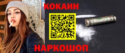 стафф Шелехов