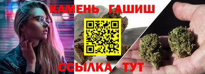 стафф Шелехов