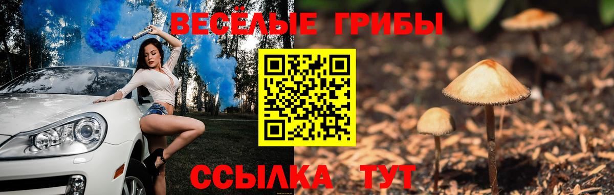 Канск  Галлюциногенные грибы Psilocybine cubensis  Вход с VPN 